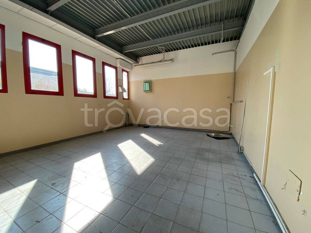 immagine annuncio 8 di 13