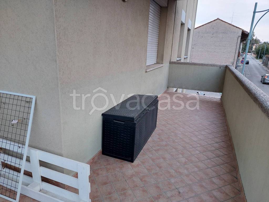 immagine annuncio 2 di 8