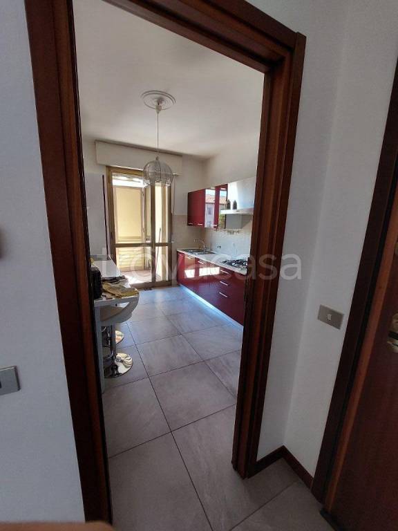 immagine annuncio 3 di 8