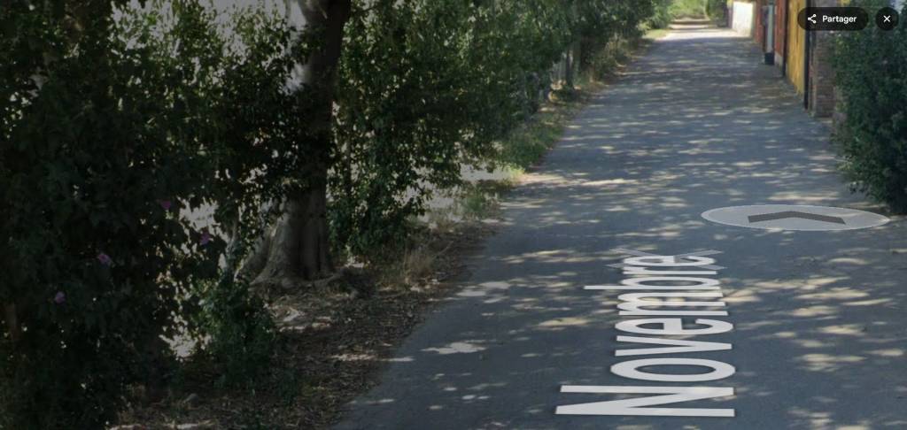 immagine annuncio 11 di 12