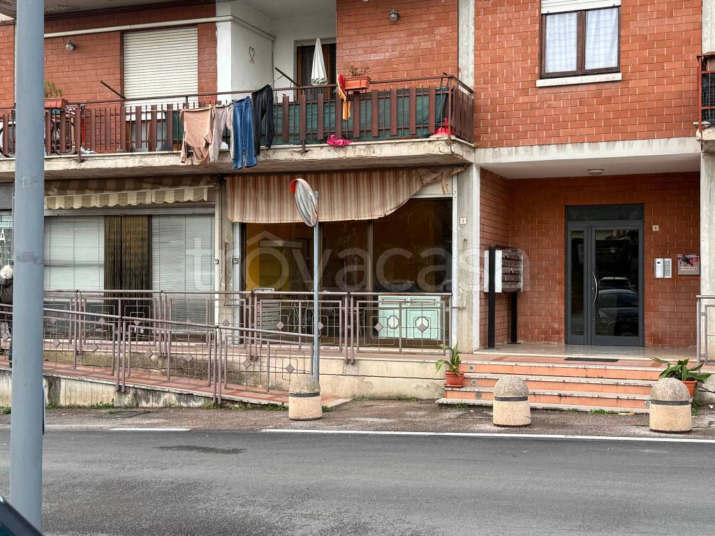 immagine annuncio 5 di 12