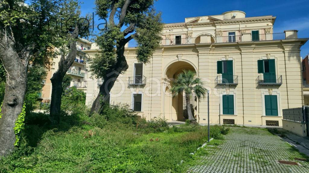 immagine annuncio 13 di 14