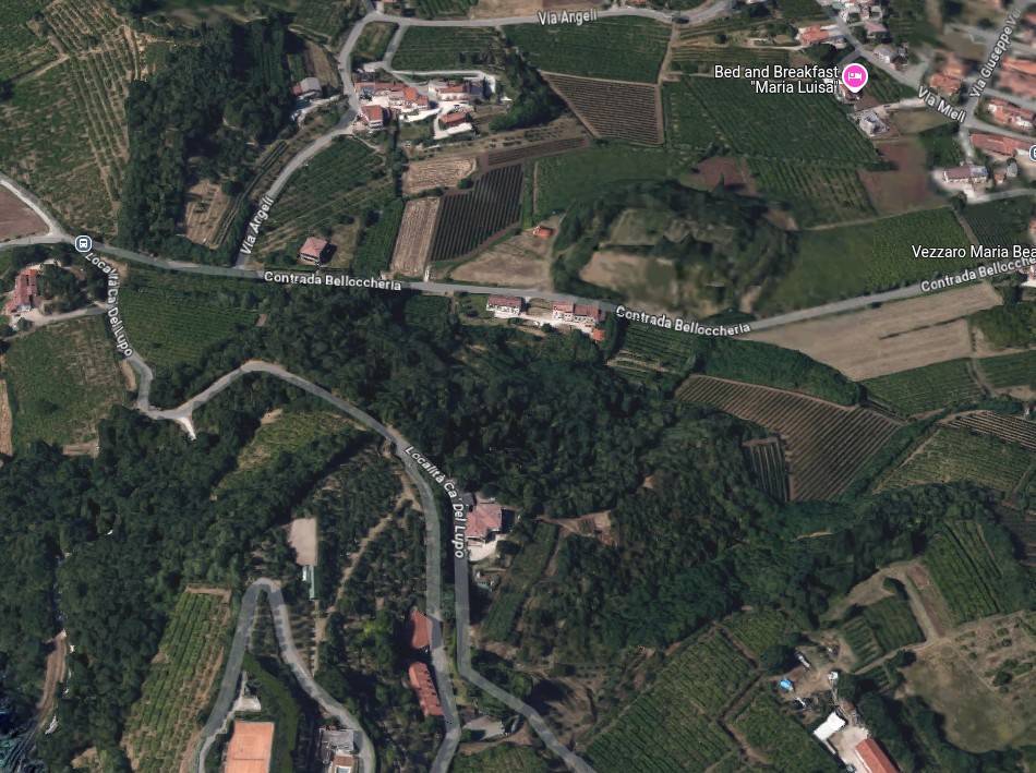 immagine annuncio 1 di 15