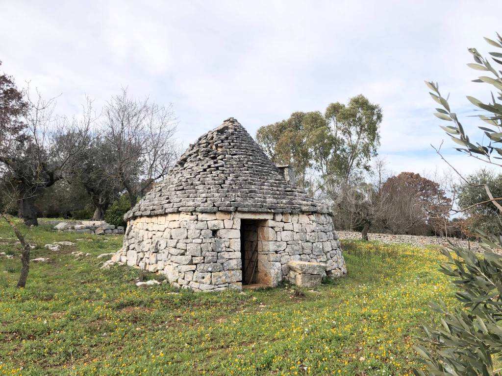 immagine annuncio 4 di 13