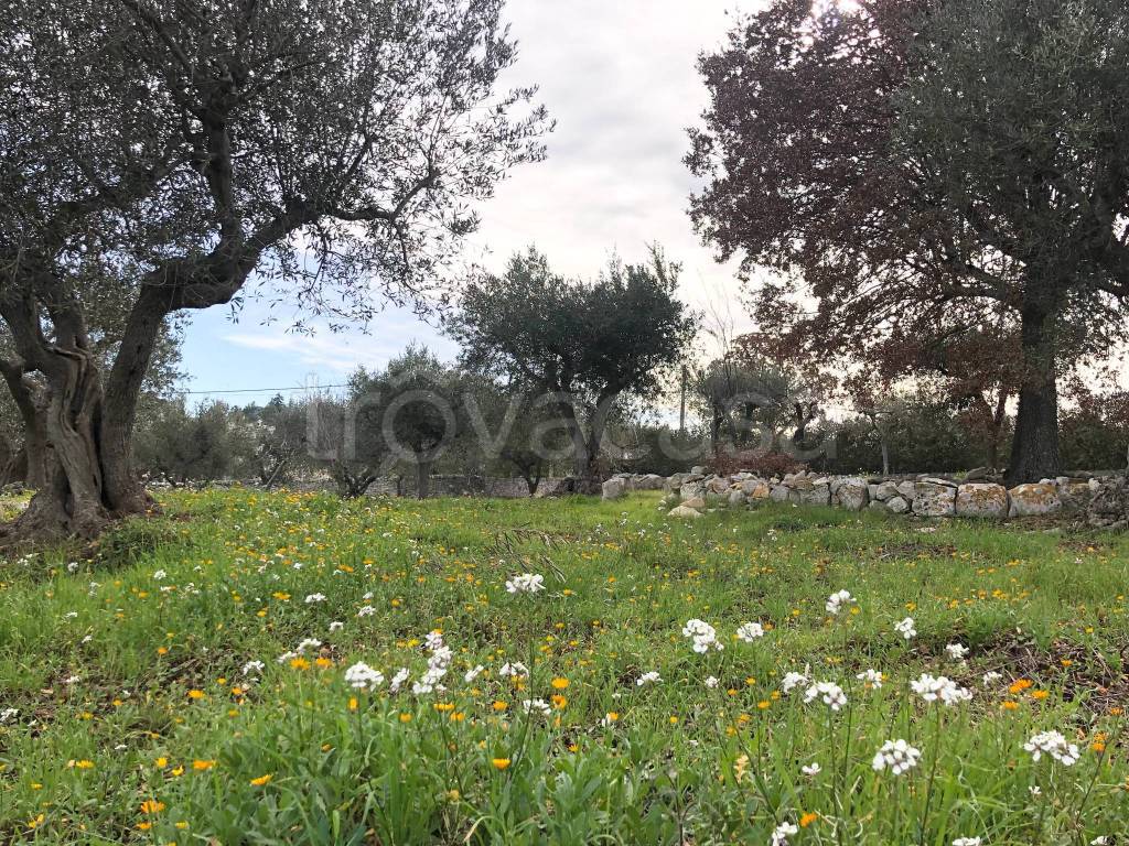 immagine annuncio 9 di 13