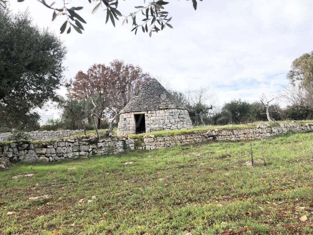 immagine annuncio 12 di 13