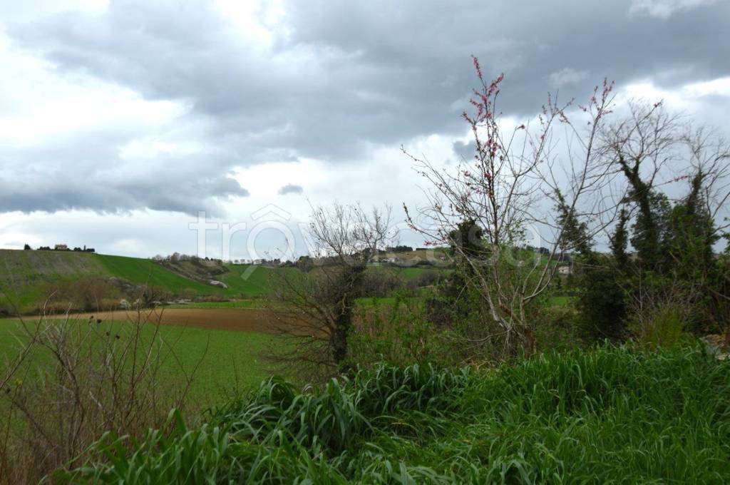 immagine annuncio 3 di 8