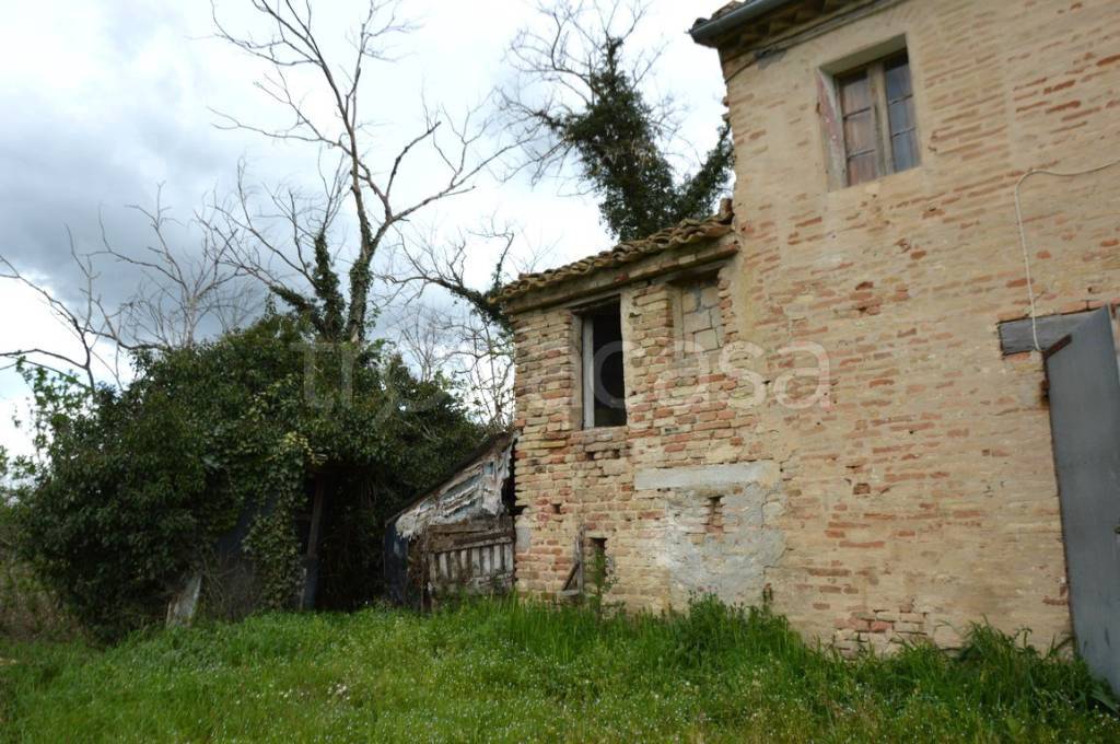 immagine annuncio 4 di 8