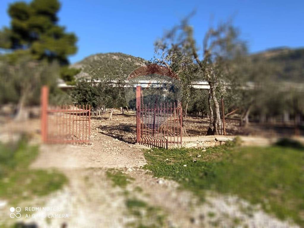 immagine annuncio 1 di 6