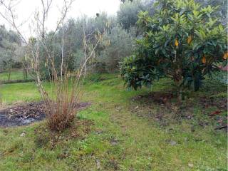 Terreno agricolo in vendita a livorno via di sant'alò