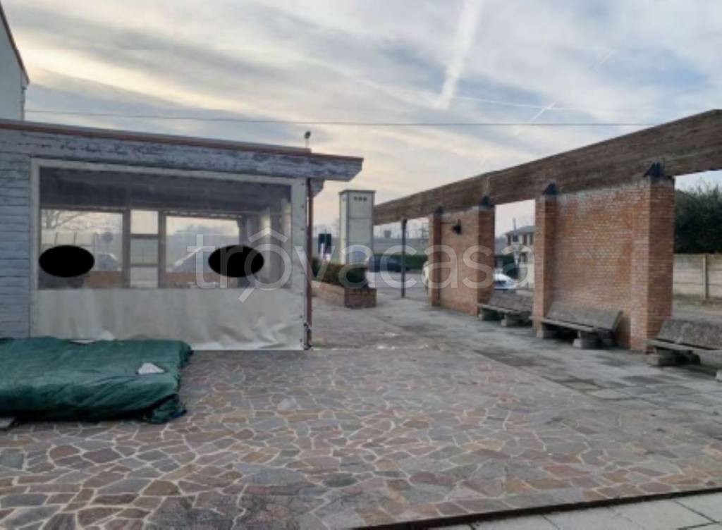 immagine annuncio 3 di 11