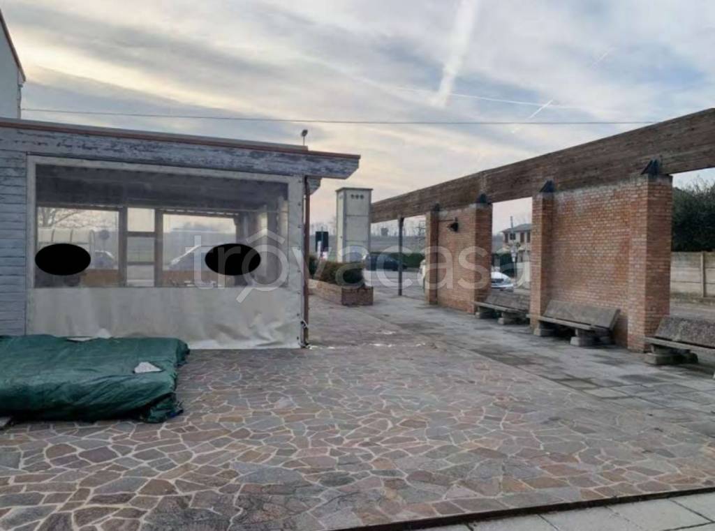 immagine annuncio 3 di 11