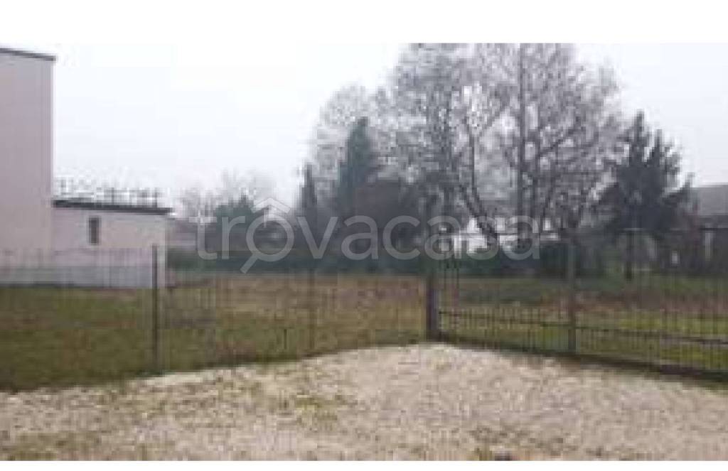 immagine annuncio 3 di 11