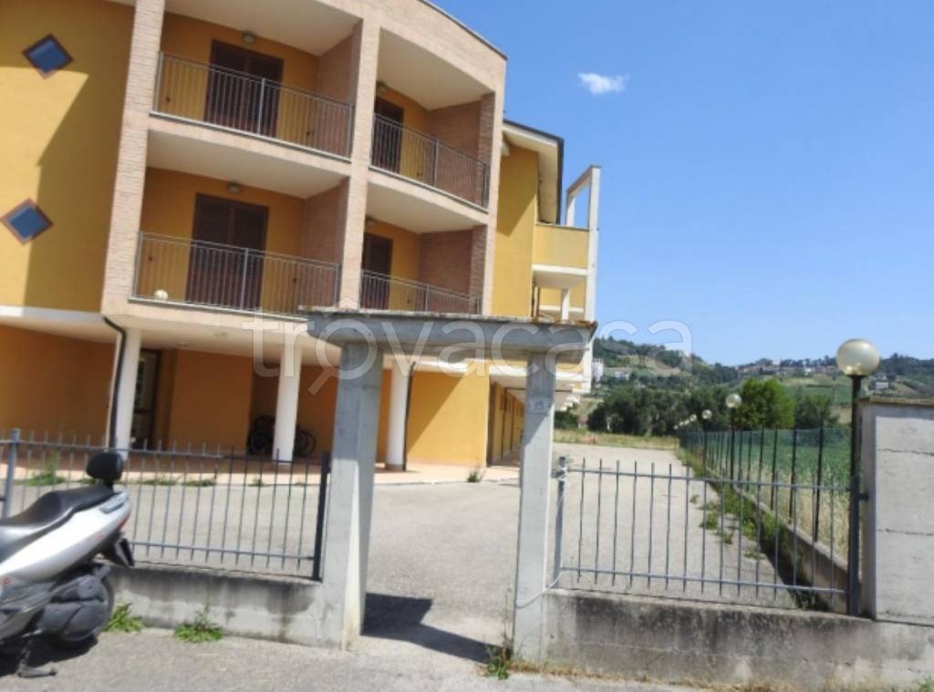 immagine annuncio 3 di 11