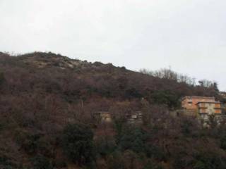 Terreno agricolo all'asta a genova localita' monte comune