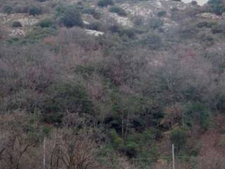 Terreno agricolo all'asta a genova bavari loc. costa
