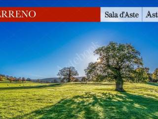 Terreno agricolo all'asta a cortenova cortenova