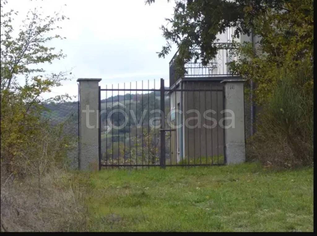 immagine annuncio 3 di 6