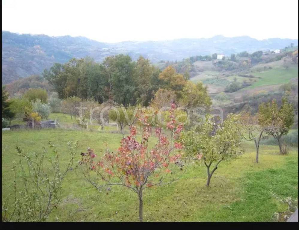 immagine annuncio 4 di 6