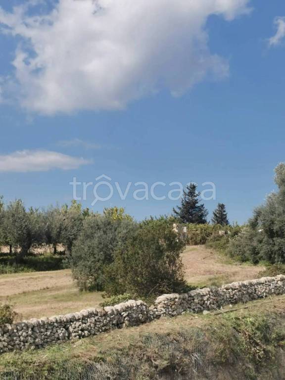 immagine annuncio 4 di 9
