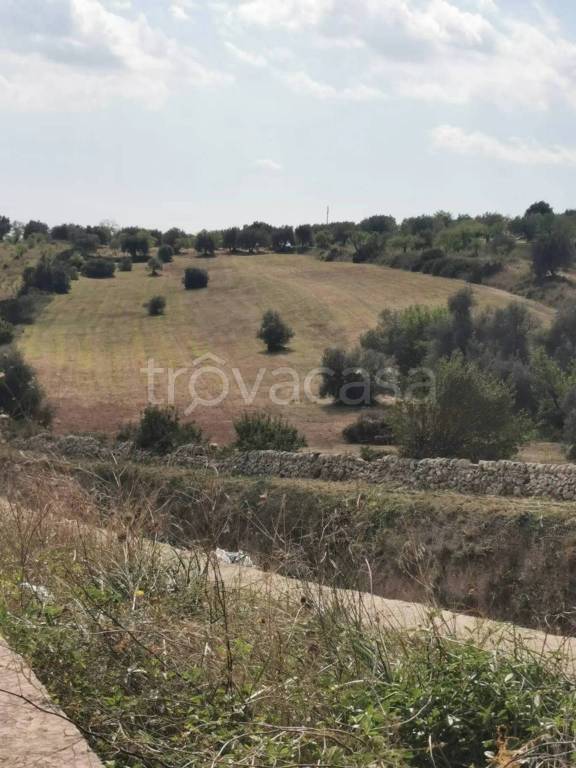 immagine annuncio 5 di 9