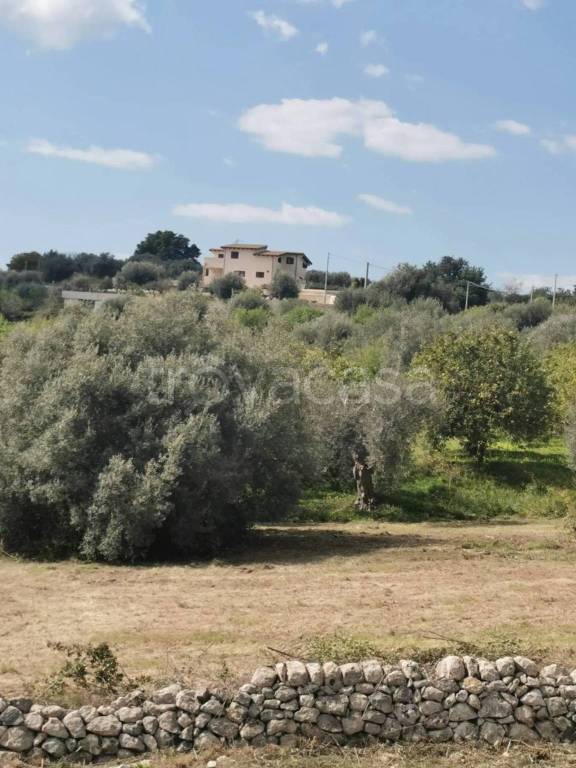 immagine annuncio 7 di 9