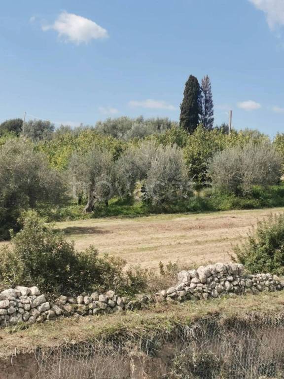 immagine annuncio 8 di 9