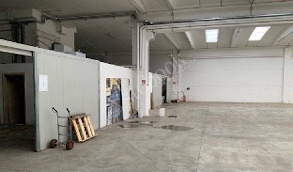 immagine annuncio 5 di 9