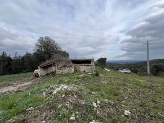 Rustico in vendita a monteverdi marittimo 