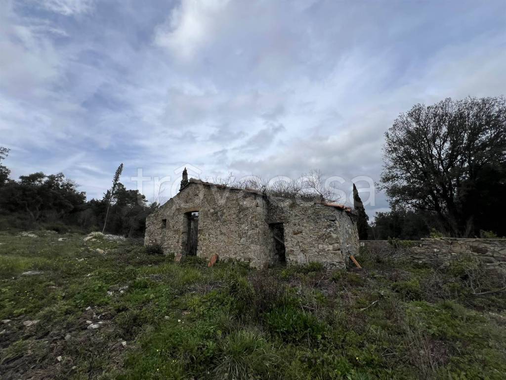 immagine annuncio 10 di 14
