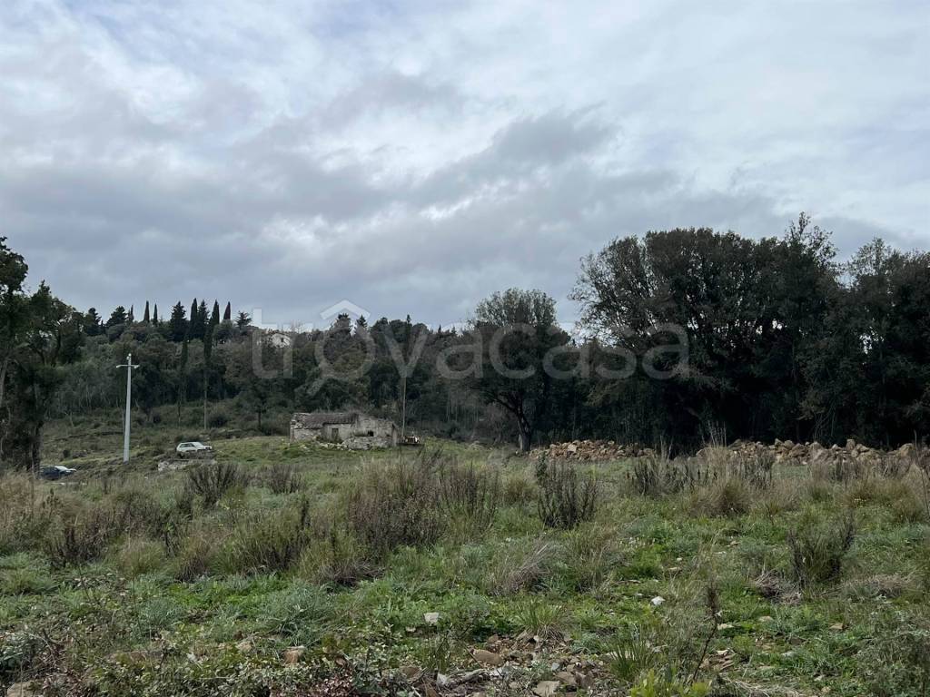 immagine annuncio 11 di 14