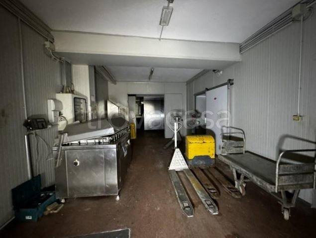 immagine annuncio 8 di 12