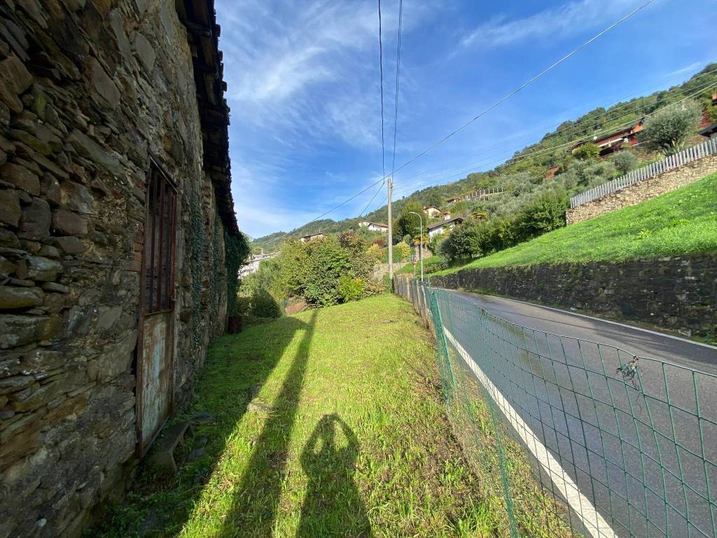 immagine annuncio 2 di 6