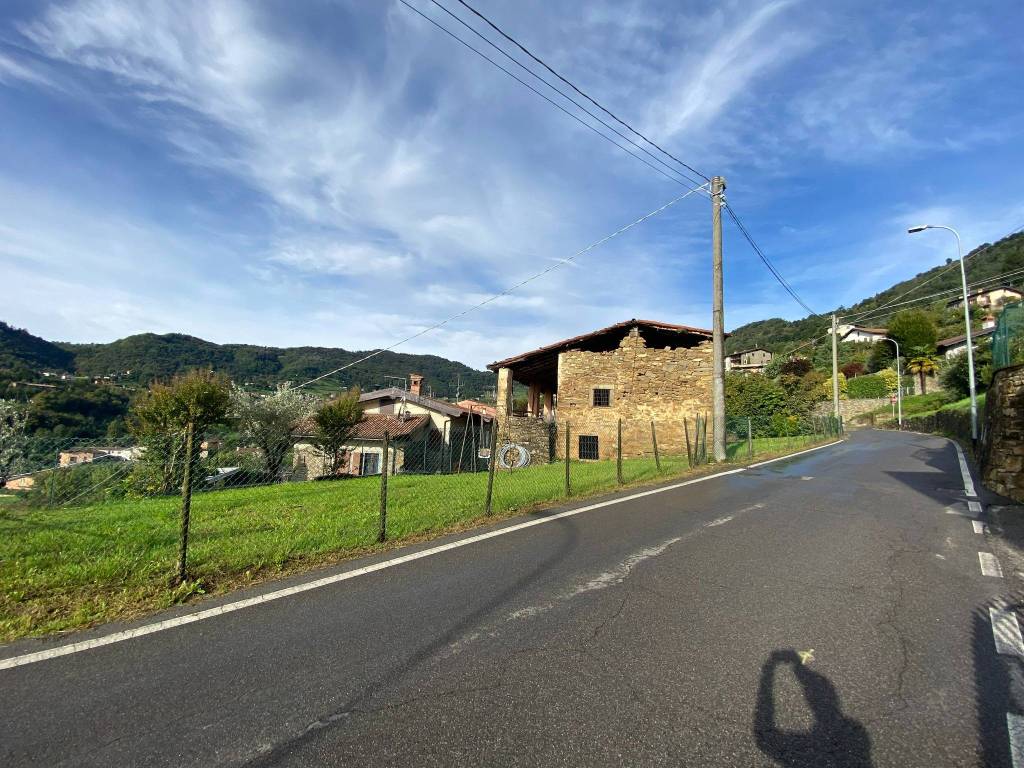 immagine annuncio 5 di 6