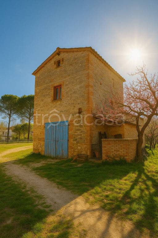 immagine annuncio 10 di 12