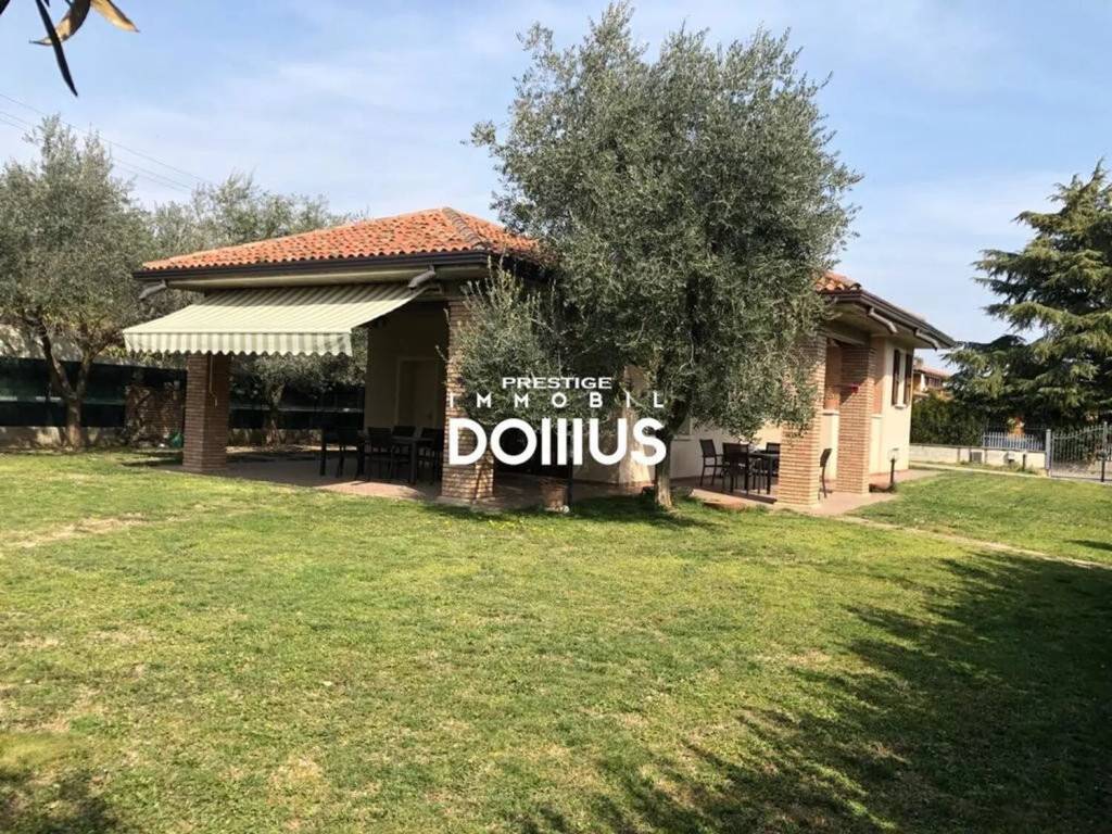 immagine annuncio 1 di 14