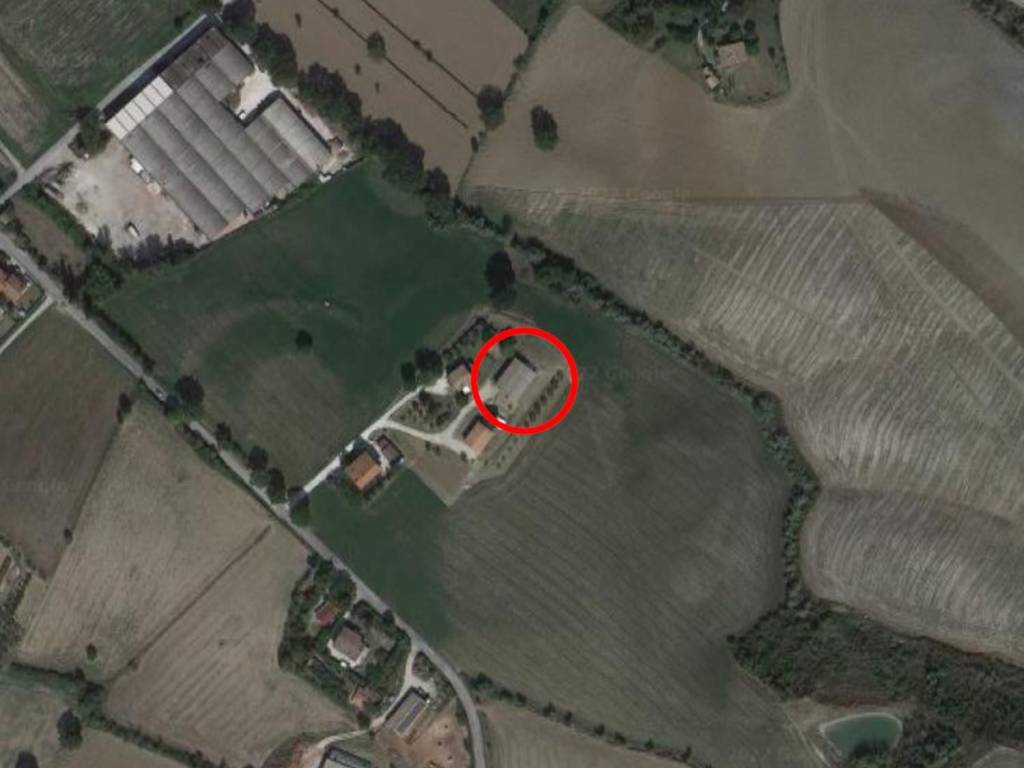 immagine annuncio 5 di 7