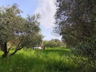 Terreno agricolo in vendita a roma via del ponte di pantano