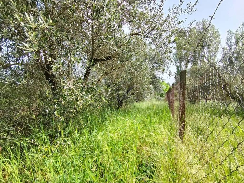 immagine annuncio 10 di 15