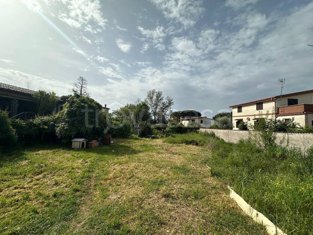 immagine annuncio 2 di 11