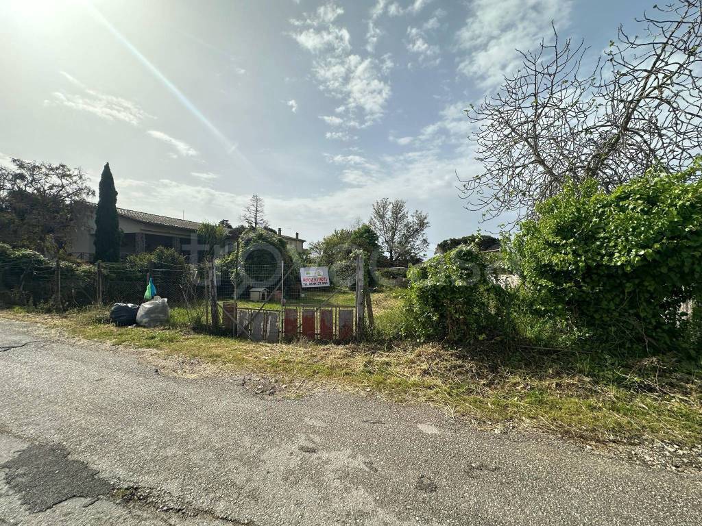 immagine annuncio 6 di 11