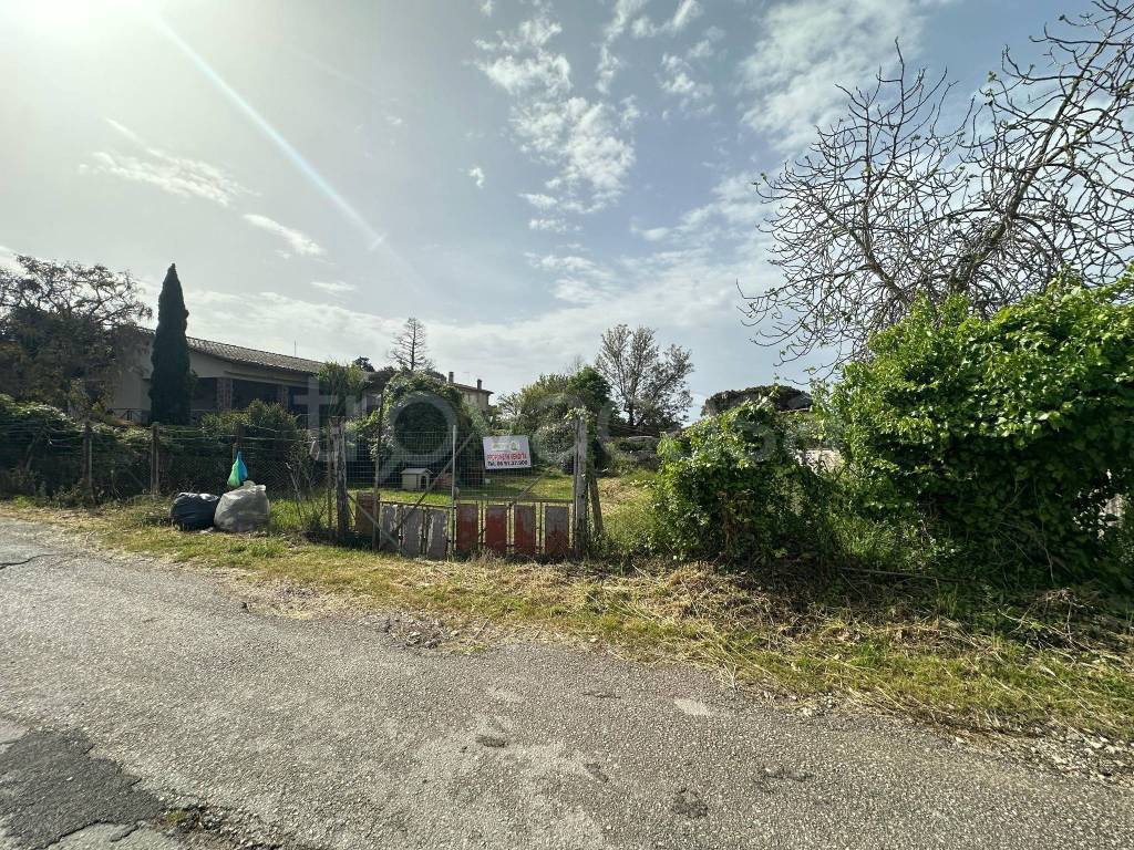 immagine annuncio 7 di 11