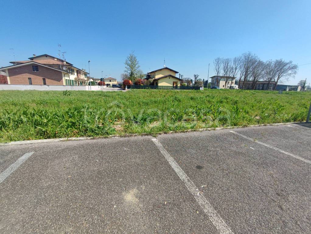 immagine annuncio 5 di 6