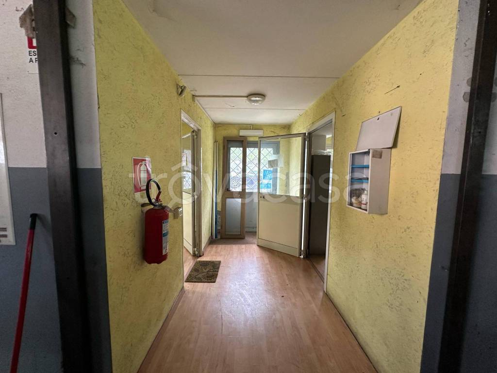 immagine annuncio 4 di 12