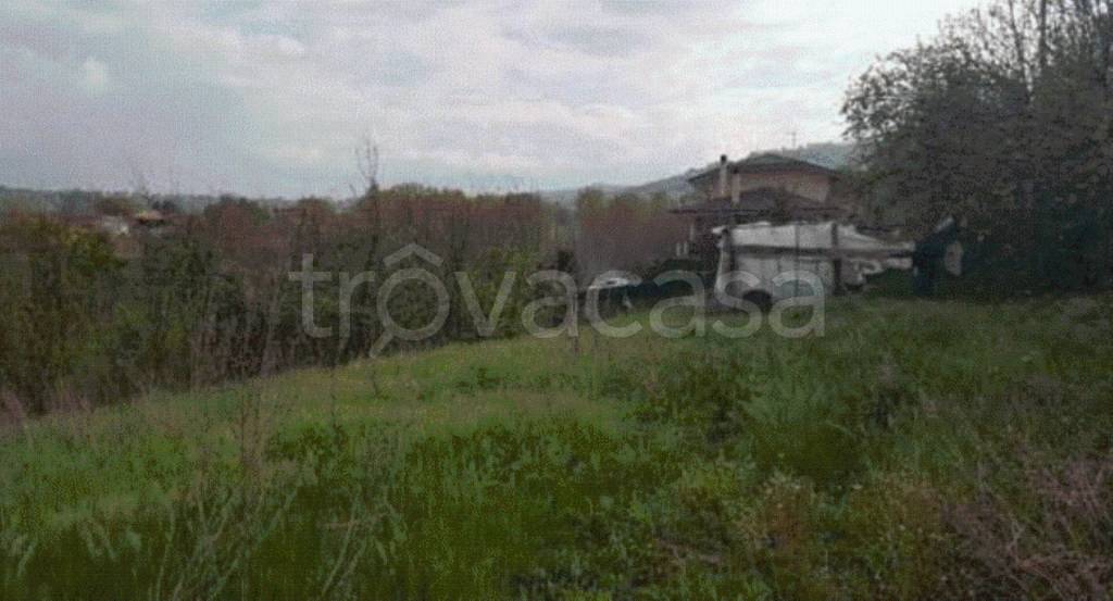 immagine annuncio 8 di 11