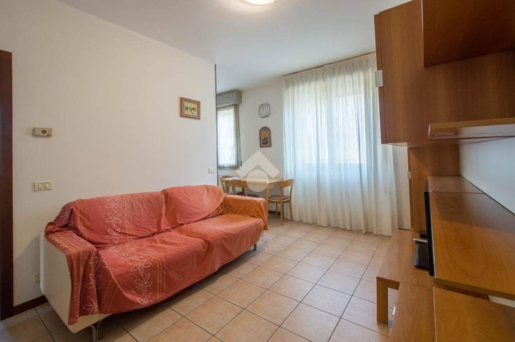 immagine annuncio 1 di 13