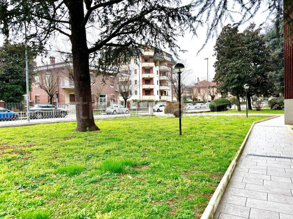 immagine annuncio 2 di 15