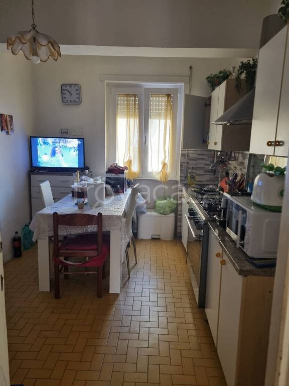 immagine annuncio 4 di 12