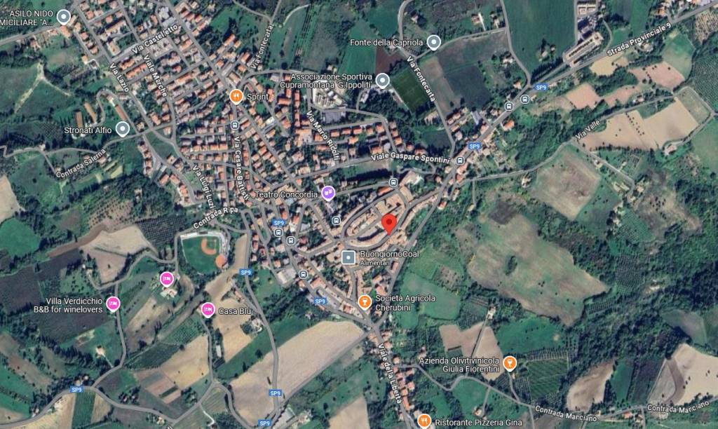 immagine annuncio 4 di 13