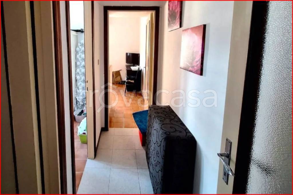immagine annuncio 5 di 14